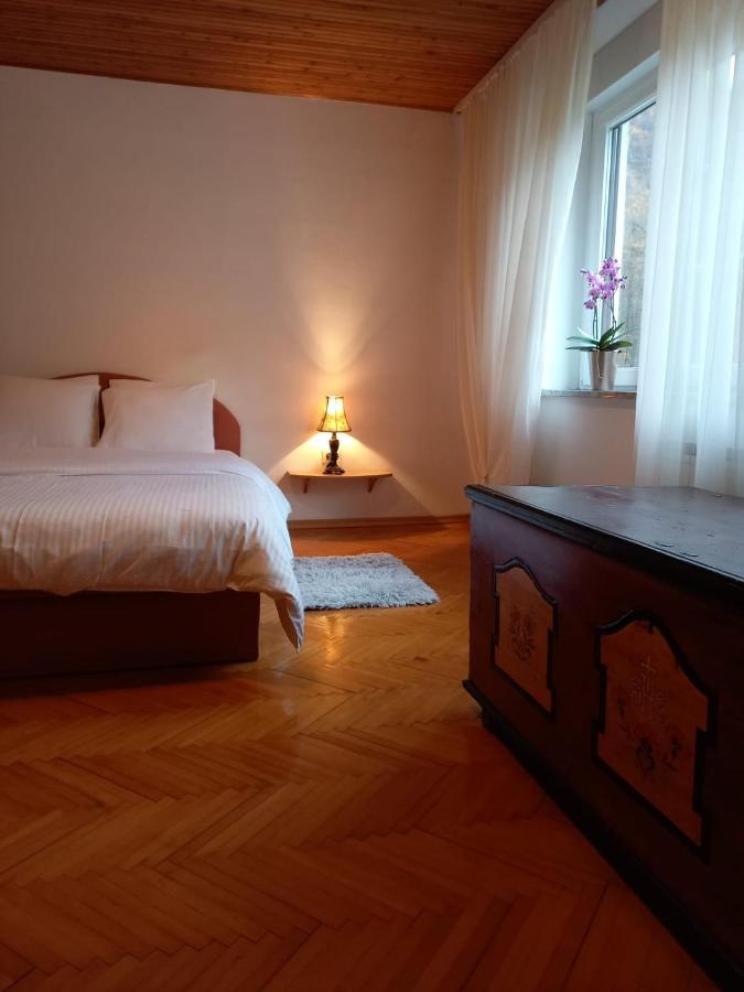 Riverside Villa Avo - Apartment Martin Spodnja Idrija エクステリア 写真
