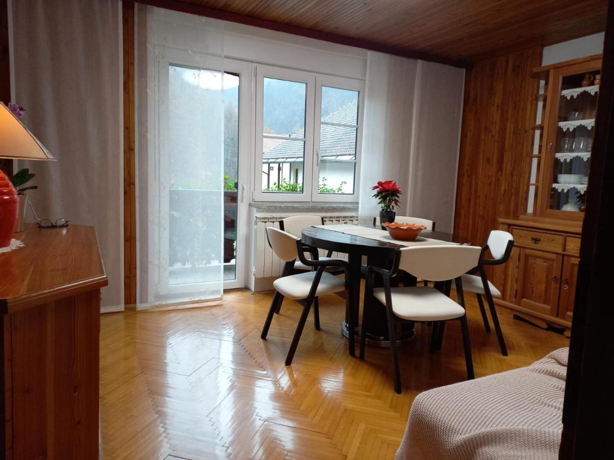 Riverside Villa Avo - Apartment Martin Spodnja Idrija エクステリア 写真