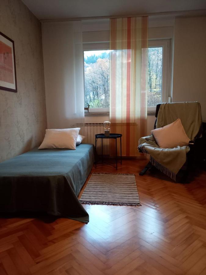 Riverside Villa Avo - Apartment Martin Spodnja Idrija エクステリア 写真
