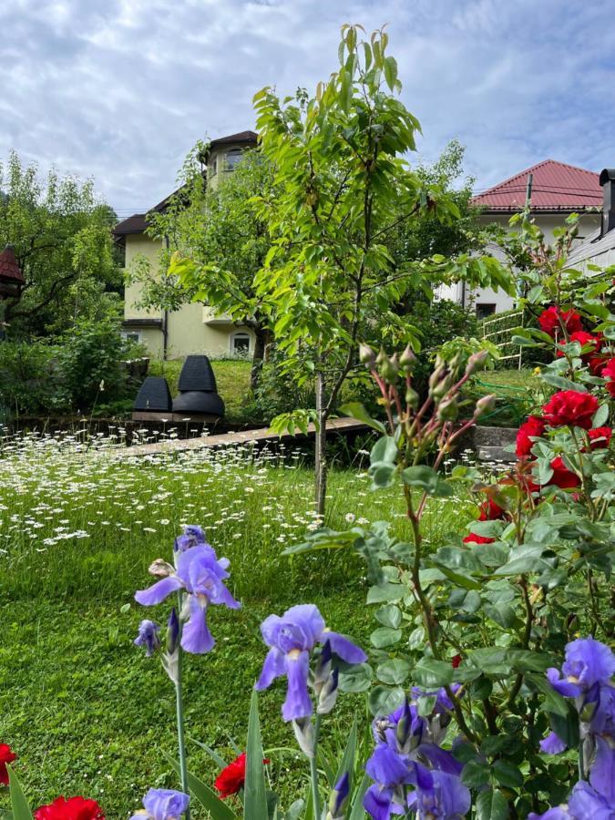 Riverside Villa Avo - Apartment Martin Spodnja Idrija エクステリア 写真