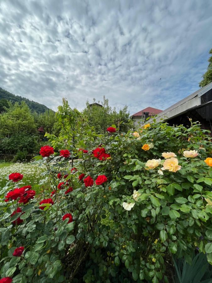 Riverside Villa Avo - Apartment Martin Spodnja Idrija エクステリア 写真